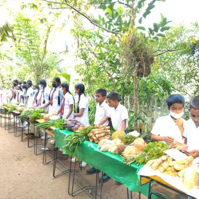 සිඟිති පොළ